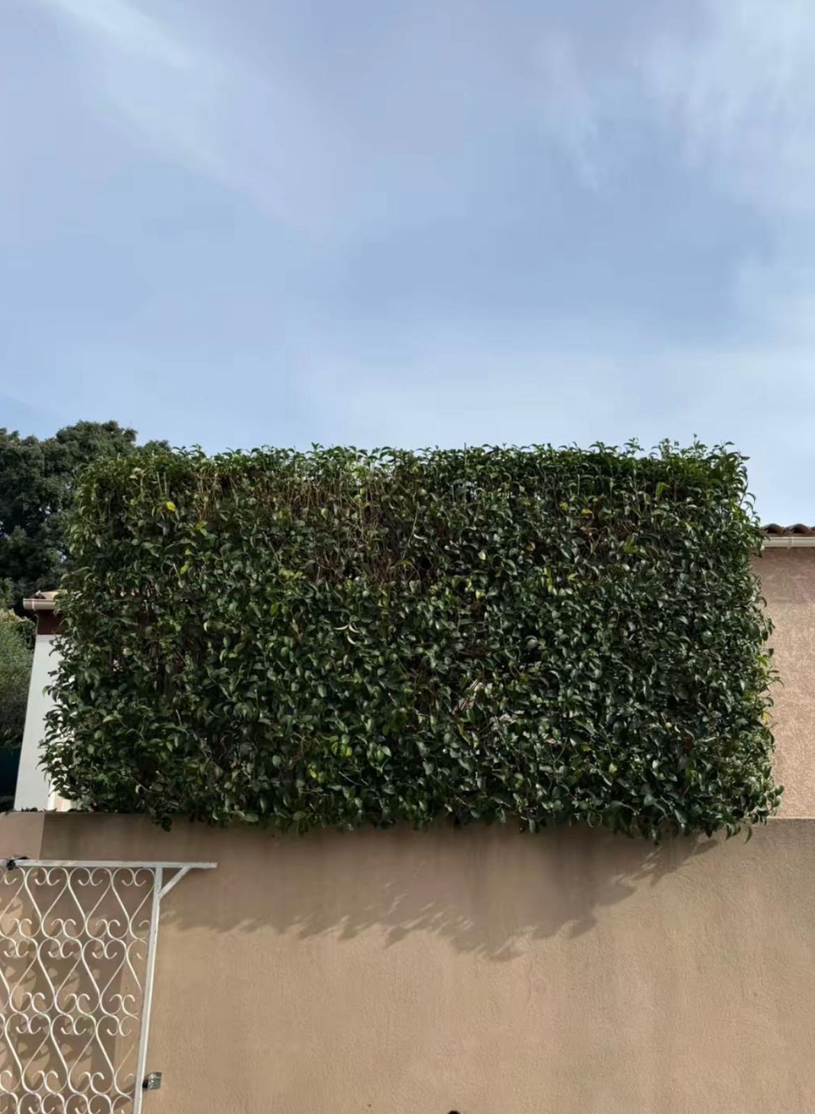 Massif de fleurs coloré et bien entretenu